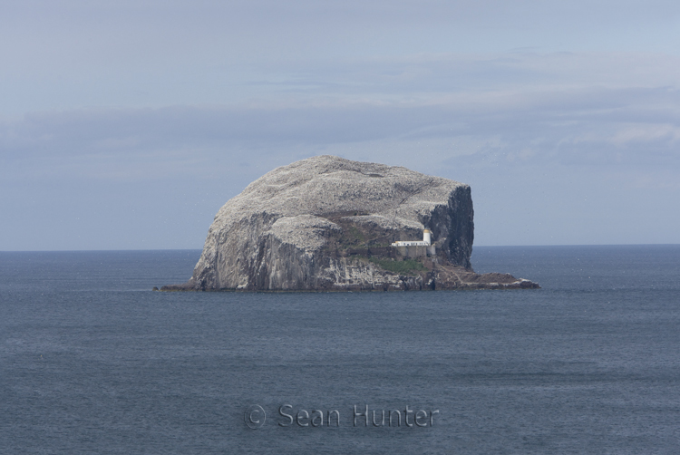 The Bass Rock in the Firth of Forth, Scotland